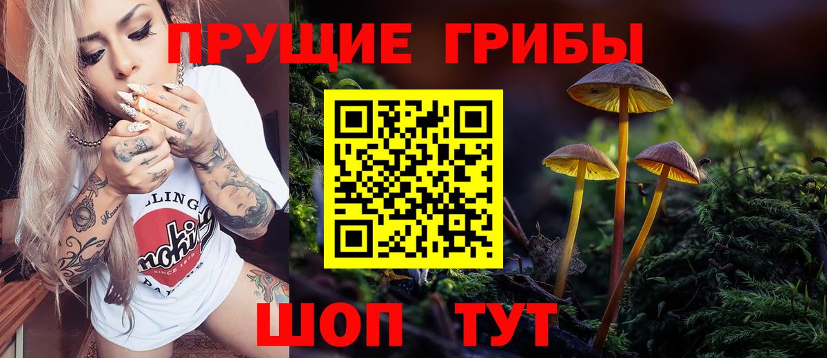 Псилоцибиновые грибы мухоморы Коммунар